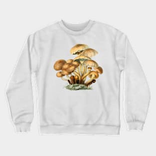 Shaggy Scaly Cap Mushroom Vintage Mycology Painting Crewneck Sweatshirt